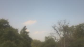 Weather camera view of Saint Peter School.
