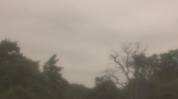 Weather camera view of Saint Peter School.
