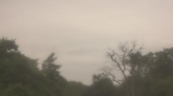 Weather camera view of Saint Peter School.