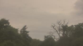 Weather camera view of Saint Peter School.