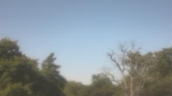 Weather camera view of Saint Peter School.