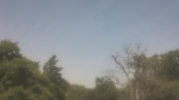 Weather camera view of Saint Peter School.