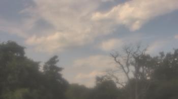 Weather camera view of Saint Peter School.