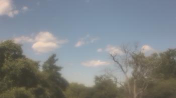 Weather camera view of Saint Peter School.