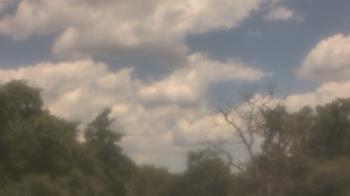 Weather camera view of Saint Peter School.