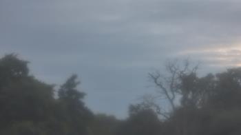 Weather camera view of Saint Peter School.