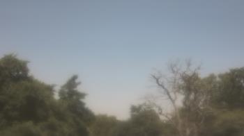Weather camera view of Saint Peter School.
