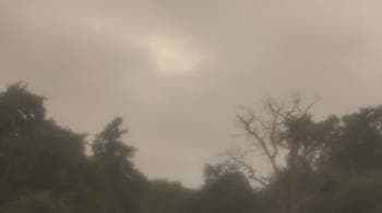 Weather camera view of Saint Peter School.