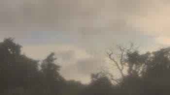 Weather camera view of Saint Peter School.