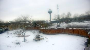 Weather camera view of Columbus Zoo and Aquarium.