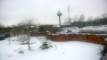 Weather camera view of Columbus Zoo and Aquarium.