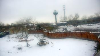 Weather camera view of Columbus Zoo and Aquarium.
