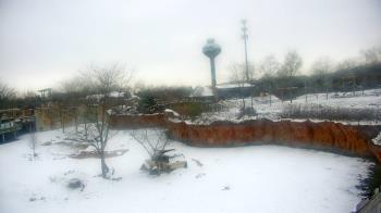 Weather camera view of Columbus Zoo and Aquarium.