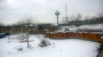 Weather camera view of Columbus Zoo and Aquarium.