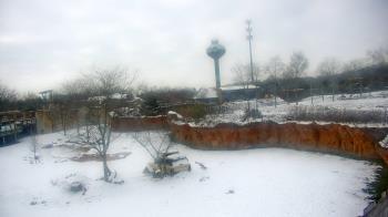 Weather camera view of Columbus Zoo and Aquarium.