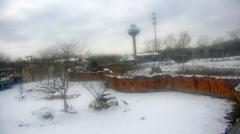 Weather camera view of Columbus Zoo and Aquarium.
