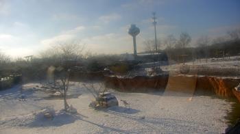 Weather camera view of Columbus Zoo and Aquarium.