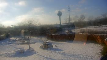 Weather camera view of Columbus Zoo and Aquarium.
