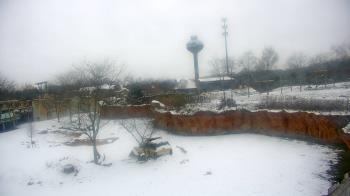 Weather camera view of Columbus Zoo and Aquarium.