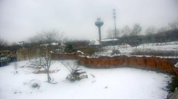 Weather camera view of Columbus Zoo and Aquarium.