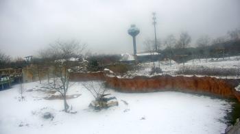 Weather camera view of Columbus Zoo and Aquarium.