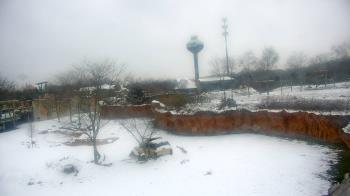 Weather camera view of Columbus Zoo and Aquarium.