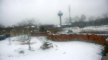 Weather camera view of Columbus Zoo and Aquarium.