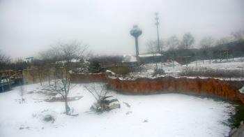 Weather camera view of Columbus Zoo and Aquarium.
