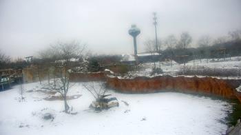 Weather camera view of Columbus Zoo and Aquarium.