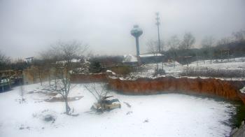 Weather camera view of Columbus Zoo and Aquarium.