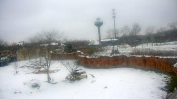 Weather camera view of Columbus Zoo and Aquarium.