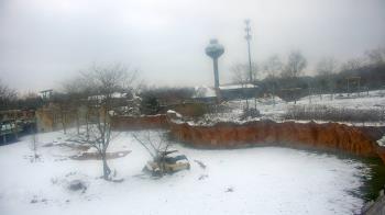 Weather camera view of Columbus Zoo and Aquarium.