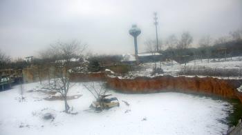 Weather camera view of Columbus Zoo and Aquarium.