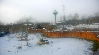 Weather camera view of Columbus Zoo and Aquarium.