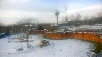 Weather camera view of Columbus Zoo and Aquarium.