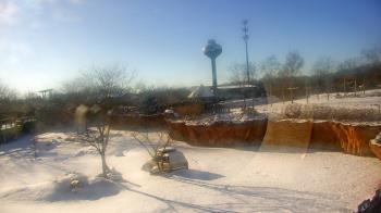 Weather camera view of Columbus Zoo and Aquarium.