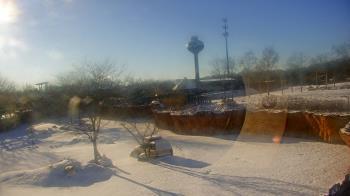 Weather camera view of Columbus Zoo and Aquarium.