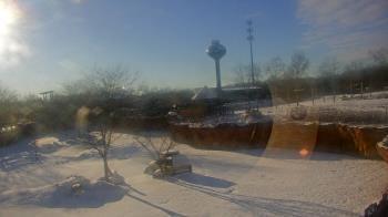 Weather camera view of Columbus Zoo and Aquarium.
