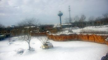 Weather camera view of Columbus Zoo and Aquarium.