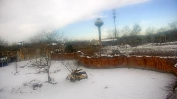 Weather camera view of Columbus Zoo and Aquarium.