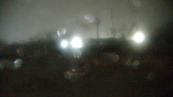 Weather camera view of Columbus Zoo and Aquarium.
