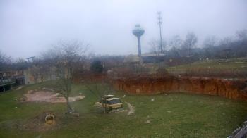 Weather camera view of Columbus Zoo and Aquarium.