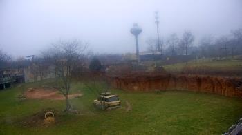 Weather camera view of Columbus Zoo and Aquarium.