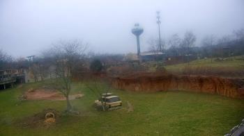 Weather camera view of Columbus Zoo and Aquarium.