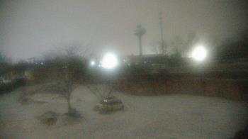 Weather camera view of Columbus Zoo and Aquarium.