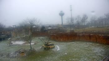 Weather camera view of Columbus Zoo and Aquarium.