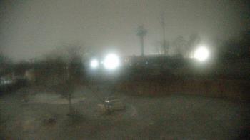 Weather camera view of Columbus Zoo and Aquarium.