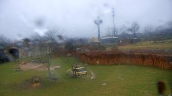 Weather camera view of Columbus Zoo and Aquarium.