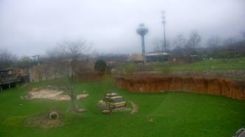 Weather camera view of Columbus Zoo and Aquarium.