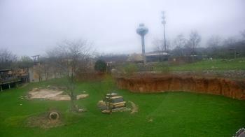 Weather camera view of Columbus Zoo and Aquarium.